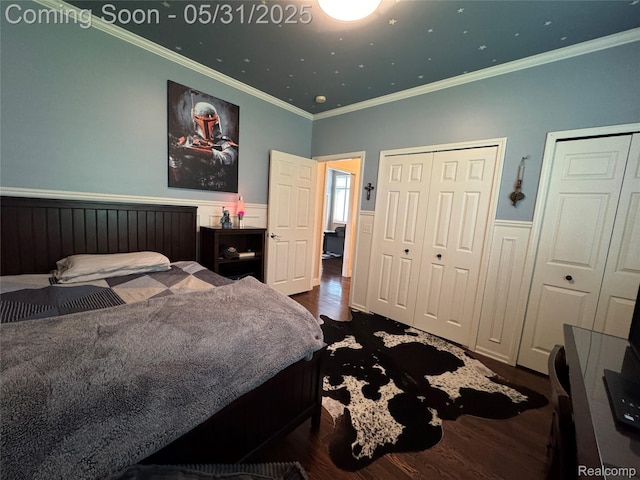 7348 William Dr, Shelby Twp, MI 48316 - bedroom with dark wood finished floors, crown molding, a wainscoted wall, and two closets