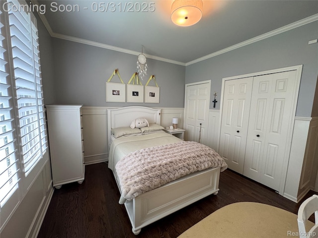 7348 William Dr, Shelby Twp, MI 48316 - bedroom with dark wood-style flooring, wainscoting, crown molding, and multiple closets