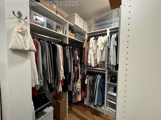 7348 William Dr, Shelby Twp, MI 48316 - walk in closet with wood finished floors