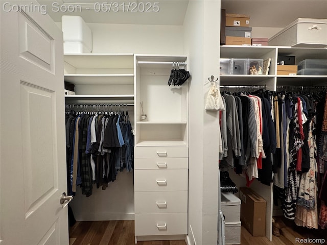 7348 William Dr, Shelby Twp, MI 48316 - spacious closet featuring wood finished floors