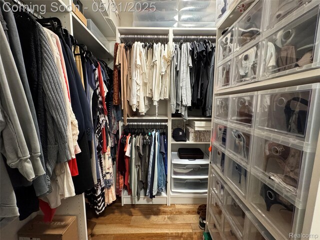 7348 William Dr, Shelby Twp, MI 48316 - walk in closet featuring wood finished floors