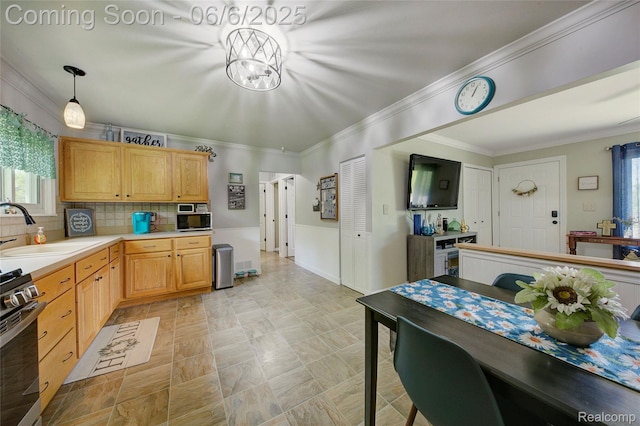 2470 E Highland Rd, Howell, MI 48843 - kitchen with a sink, stainless steel appliances, crown molding, light countertops, and a wainscoted wall