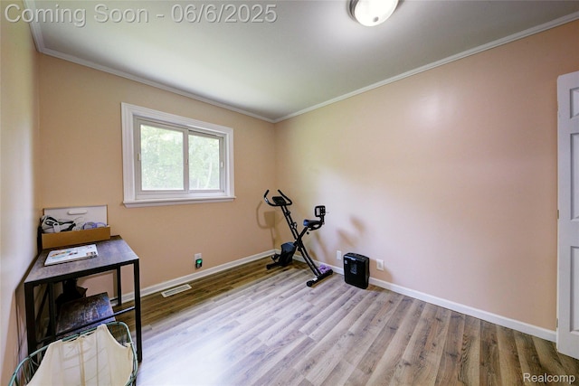 2470 E Highland Rd, Howell, MI 48843 - workout area with wood finished floors, crown molding, and baseboards