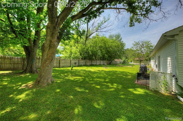 2470 E Highland Rd, Howell, MI 48843 - view of yard