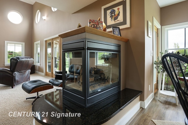 12751 Wilkinson Rd, Freeland, MI 48623 - living room featuring wood finished floors, healthy amount of natural light, and baseboards