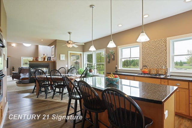 12751 Wilkinson Rd, Freeland, MI 48623 - kitchen with a fireplace, plenty of natural light, dark wood-type flooring, pendant lighting, and recessed lighting