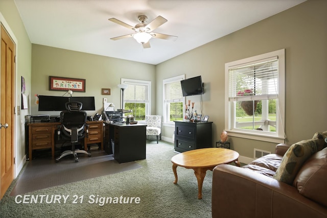 12751 Wilkinson Rd, Freeland, MI 48623 - carpeted office space with healthy amount of natural light, ceiling fan, and baseboards