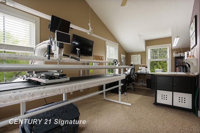 12751 Wilkinson Rd, Freeland, MI 48623 - office area featuring carpet floors and vaulted ceiling