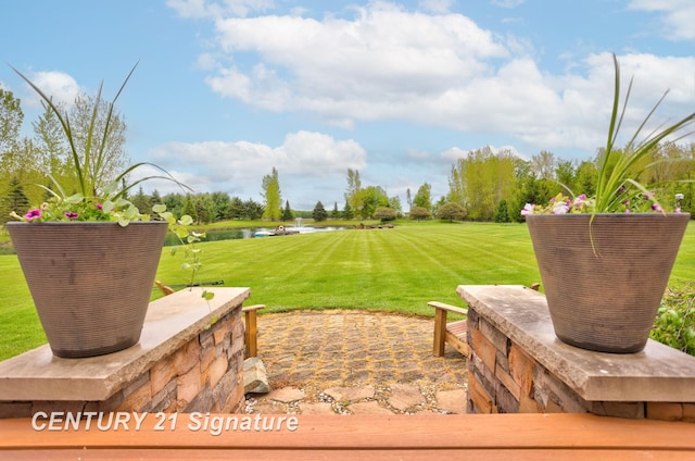 12751 Wilkinson Rd, Freeland, MI 48623 - view of green lawn featuring a water view