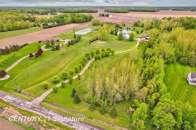 12751 Wilkinson Rd, Freeland, MI 48623 - aerial view of a large body of water