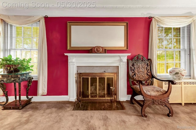 2918 Burns St, Detroit, MI 48214 - detailed view of carpet, a fireplace with flush hearth, radiator heating unit, and baseboards