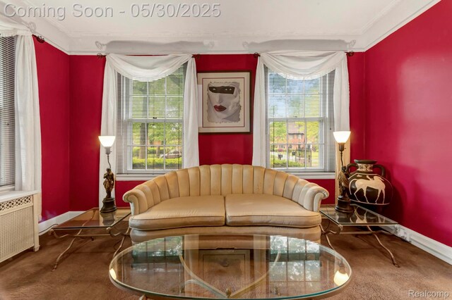 2918 Burns St, Detroit, MI 48214 - sitting room with carpet, ornamental molding, and baseboards