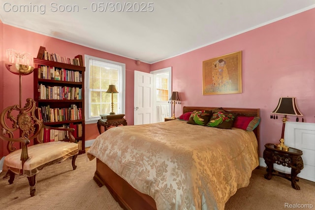 2918 Burns St, Detroit, MI 48214 - bedroom with carpet flooring, ornamental molding, and baseboards