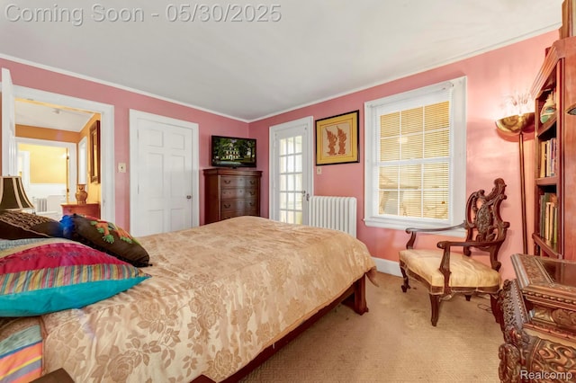 2918 Burns St, Detroit, MI 48214 - bedroom featuring radiator, carpet flooring, crown molding, and baseboards