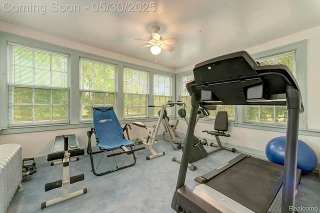 2918 Burns St, Detroit, MI 48214 - workout room featuring a ceiling fan, carpet flooring, and baseboards