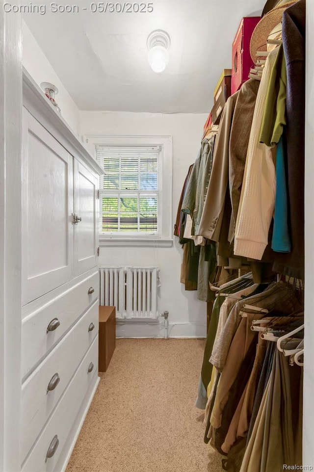 2918 Burns St, Detroit, MI 48214 - walk in closet featuring radiator and light carpet