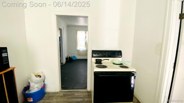 13660 Mendota St, Detroit, MI 48238 - photo 29