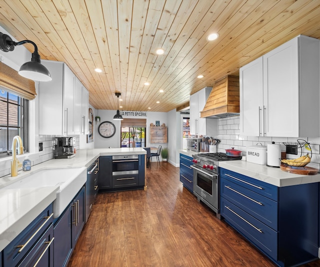 826 Jennie Pl, Monroe, MI 48161 - kitchen featuring premium range hood, blue cabinets, stainless steel appliances, a peninsula, and a sink