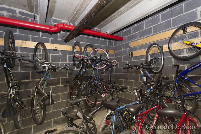 505 Cherry St SE Unit 512, Grand Rapids, MI 49503 - garage featuring concrete block wall