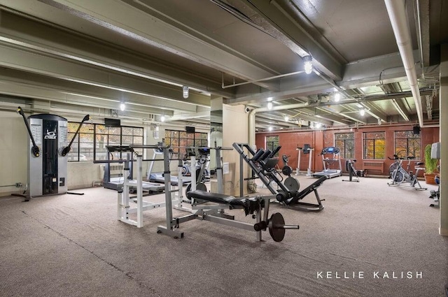 505 Cherry St SE Unit 512, Grand Rapids, MI 49503 - workout area with healthy amount of natural light and carpet floors