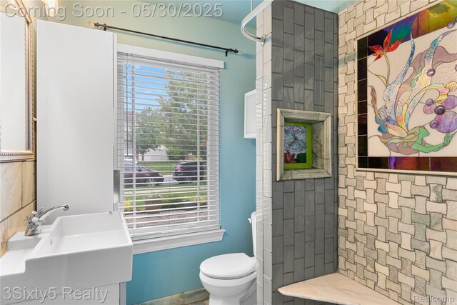 20791 Busenbark Ln, Brownstown, MI 48183 - bathroom featuring toilet and vanity
