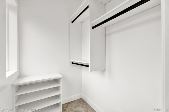 19138 Riverside Dr, Beverly Hills, MI 48025 - walk in closet featuring carpet floors