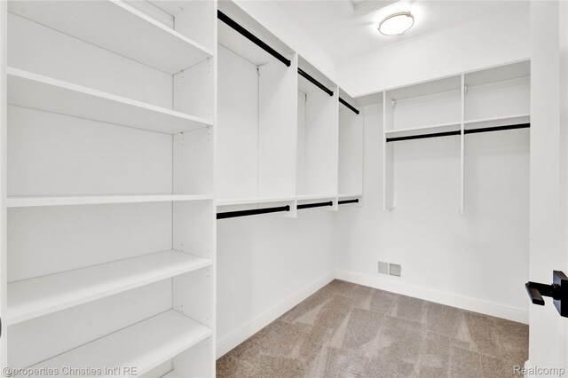 19138 Riverside Dr, Beverly Hills, MI 48025 - walk in closet featuring carpet floors