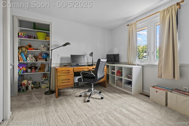 3430 Woodvalley Dr, Lapeer, MI 48446 - office space with carpet flooring