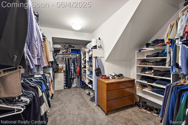 3448 Circle Dr, Commerce Twp, MI 48382 - walk in closet featuring carpet floors