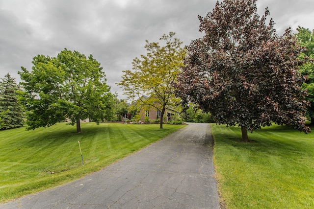 9117 Cambridge Dr, Saline, MI 48176 - view of asphalt driveway