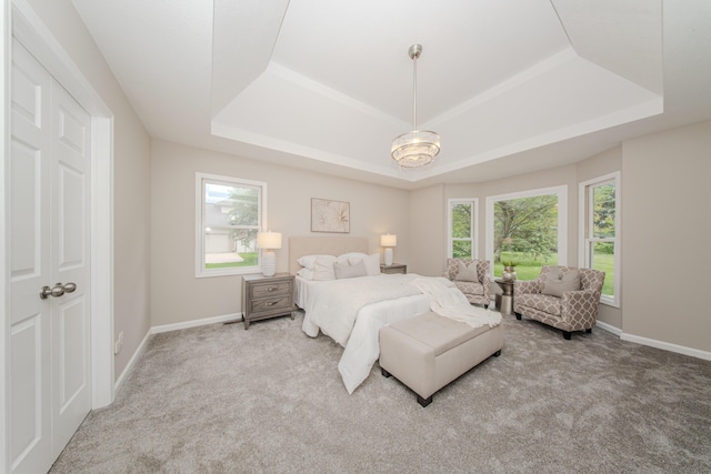 9117 Cambridge Dr, Saline, MI 48176 - carpeted bedroom with a raised ceiling, multiple windows, and baseboards