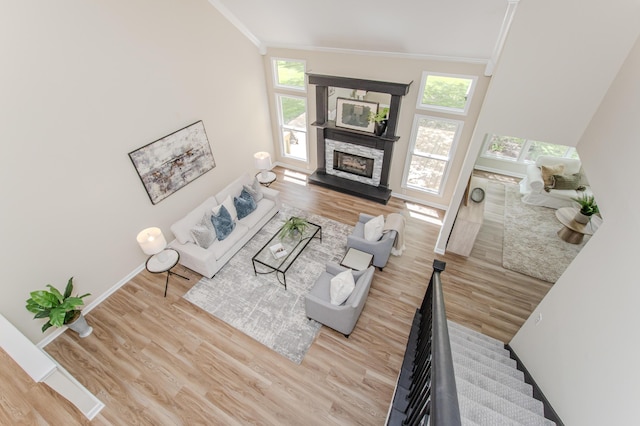 9117 Cambridge Dr, Saline, MI 48176 - living room featuring crown molding, wood finished floors, plenty of natural light, baseboards, and a stone fireplace