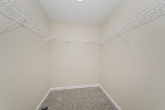 9117 Cambridge Dr, Saline, MI 48176 - walk in closet with carpet