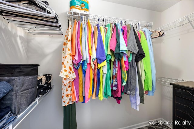 184 Dana Ln, Sand Lake, MI 49343 - view of walk in closet