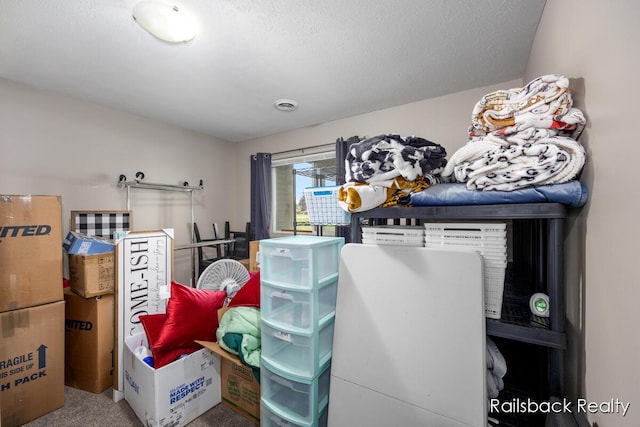 184 Dana Ln, Sand Lake, MI 49343 - view of storage room