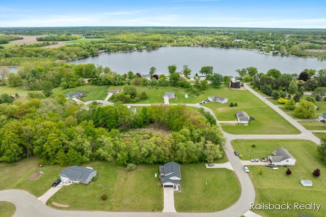 184 Dana Ln, Sand Lake, MI 49343 - bird's eye view of a large body of water