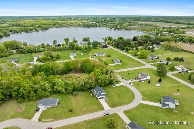 184 Dana Ln, Sand Lake, MI 49343 - aerial overview of property's location with a nearby body of water and a heavily wooded area