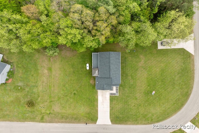184 Dana Ln, Sand Lake, MI 49343 - aerial view