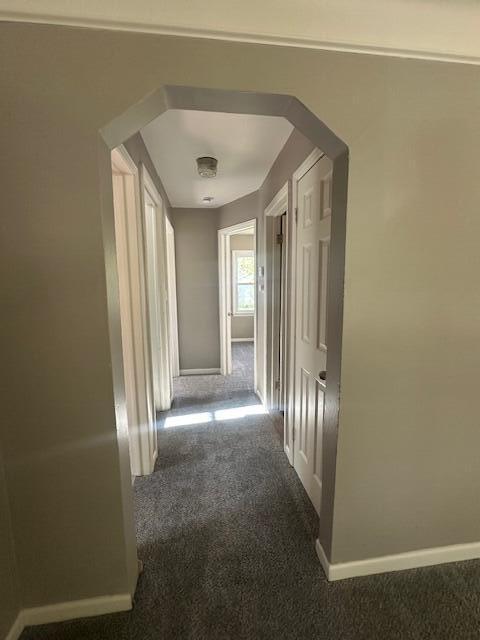 1858 Leblanc St, Lincoln Park, MI 48146 - hall featuring carpet floors, baseboards, and arched walkways