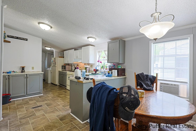 1281 E Pontaluna Rd Lot 113, Norton Shores, MI 49456 - kitchen with white appliances, healthy amount of natural light, light countertops, a peninsula, and a textured ceiling