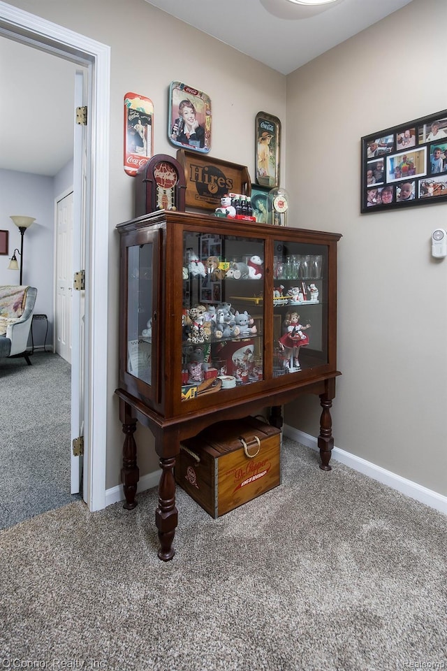 1660 River Rd Unit 52, Marysville, MI 48040 - detailed view of carpet and baseboards