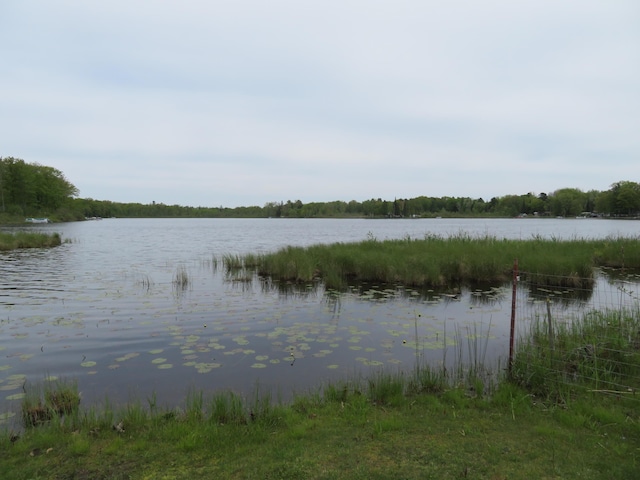 6248 Howard St, Gladwin, MI 48624 - water view