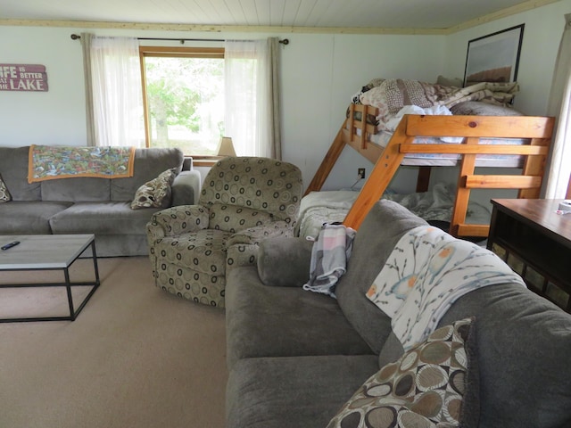 6248 Howard St, Gladwin, MI 48624 - living area with carpet floors