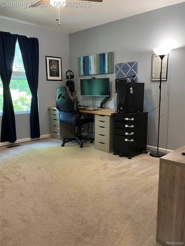 33500 Birchlawn, Westland, MI 48185 - home office featuring light carpet and baseboards
