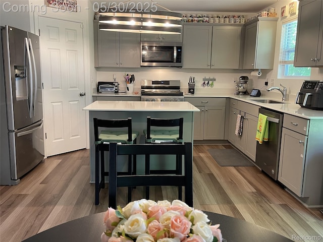 33500 Birchlawn, Westland, MI 48185 - kitchen with stainless steel appliances, a sink, gray cabinets, and light countertops