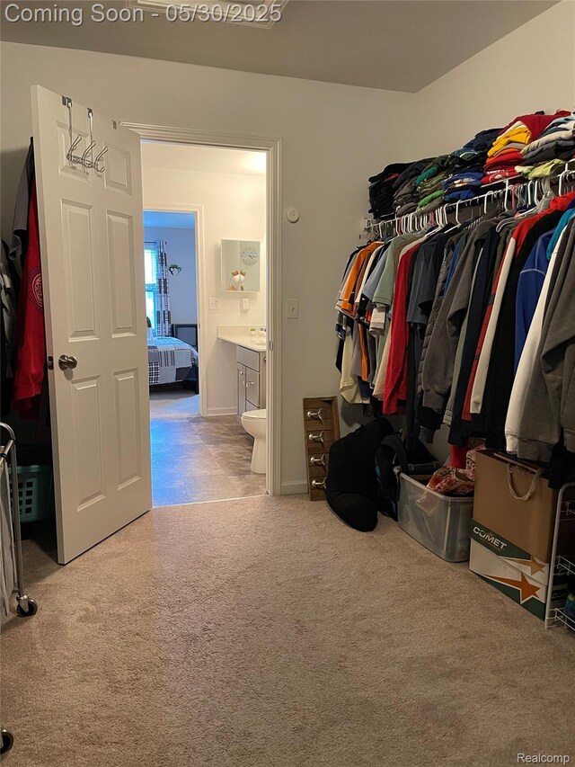 33500 Birchlawn, Westland, MI 48185 - walk in closet with carpet