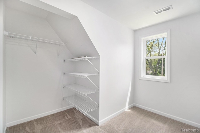 1508 Gardenia Ave, Royal Oak, MI 48067 - walk in closet with carpet