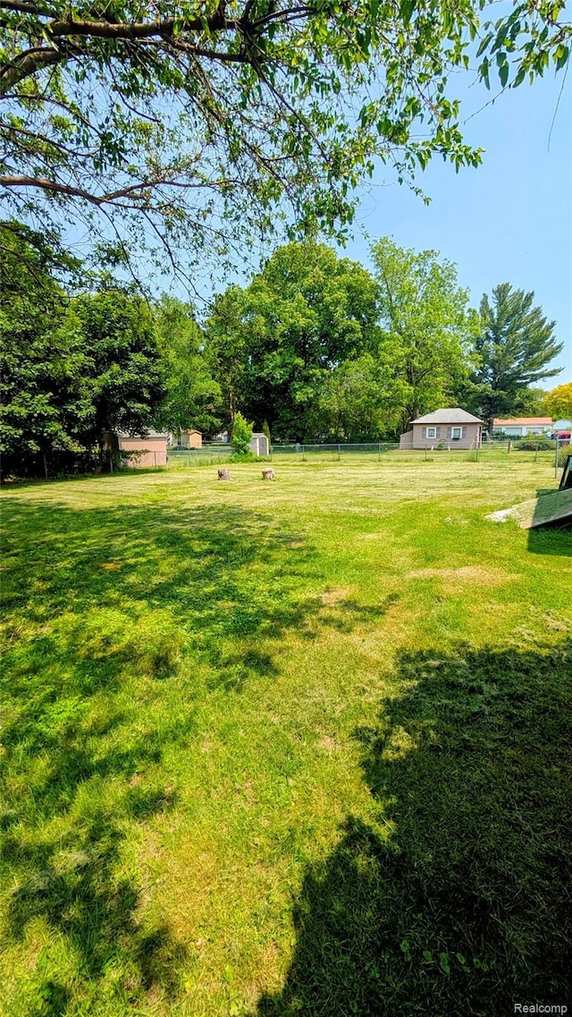 703 Queen St, Owosso, MI 48867 - view of green lawn