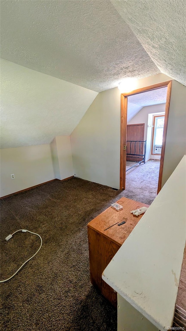703 Queen St, Owosso, MI 48867 - additional living space featuring carpet, lofted ceiling, and a textured ceiling