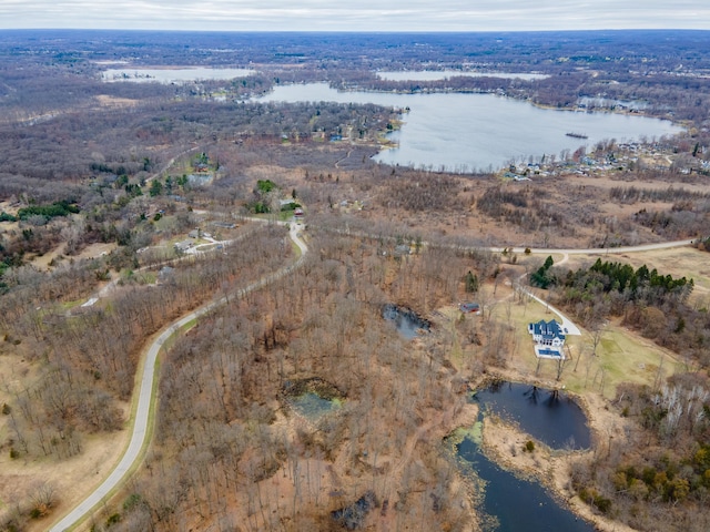 5436 Strawberry Lake Rd, Whitmore Lake, MI 48189 - aerial overview of property's location with a large body of water